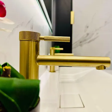 Joy Fructus Plaza 42 Τιμισοάρα