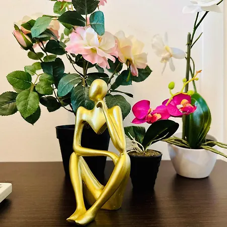 Apartamento Joy Fructus Plaza 42