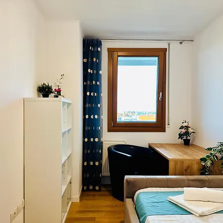 Joy Fructus Plaza 42 Τιμισοάρα