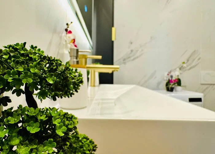 Joy Fructus Plaza 42 Timisoara